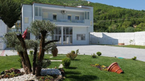 Petrela Homes
